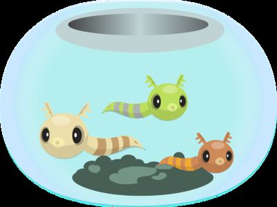 龍魚到家幾天換水vs祥龍魚場：龍魚到家與祥龍魚場在換水方面的區別