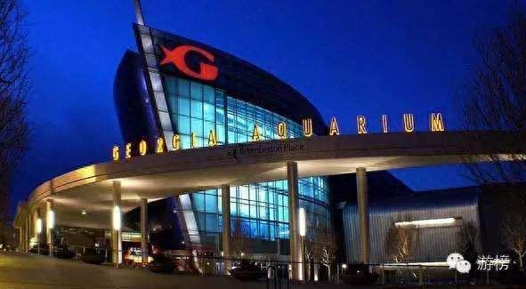 好聽的水族館名字（水族館名稱應體現其特色） 好聽的水族館名字（水族館名稱應體現其特色） 水族館百科（水族館加盟） 第4張