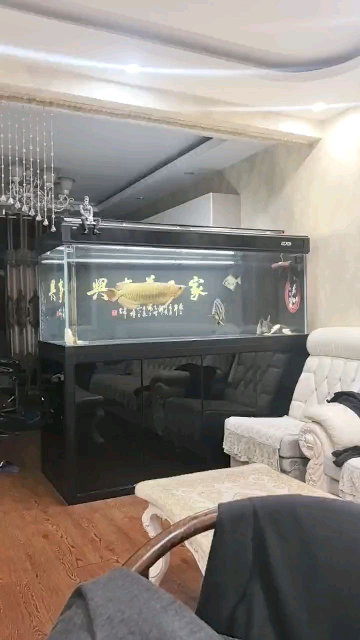 印尼虎魚的天花板