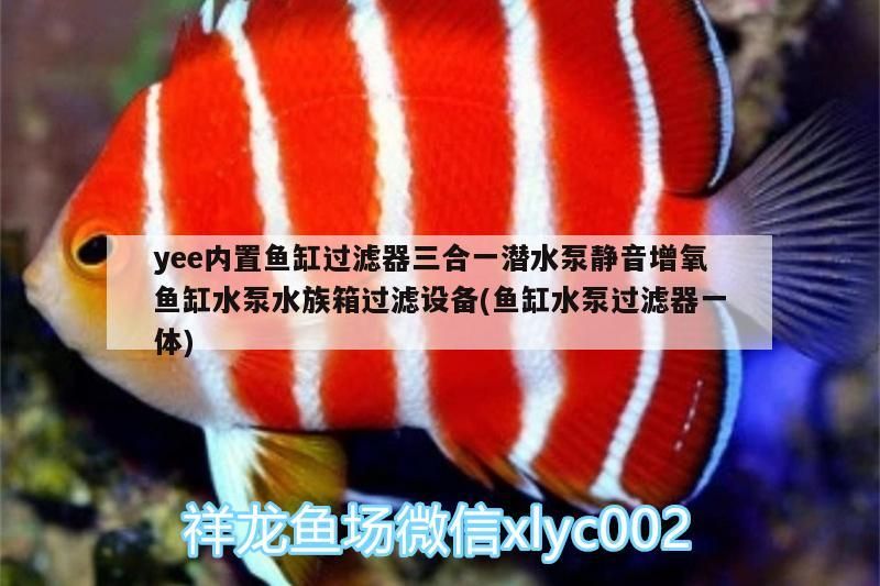 yee內置魚缸過濾器三合一潛水泵靜音增氧魚缸水泵水族箱過濾設備(魚缸水泵過濾器一體)