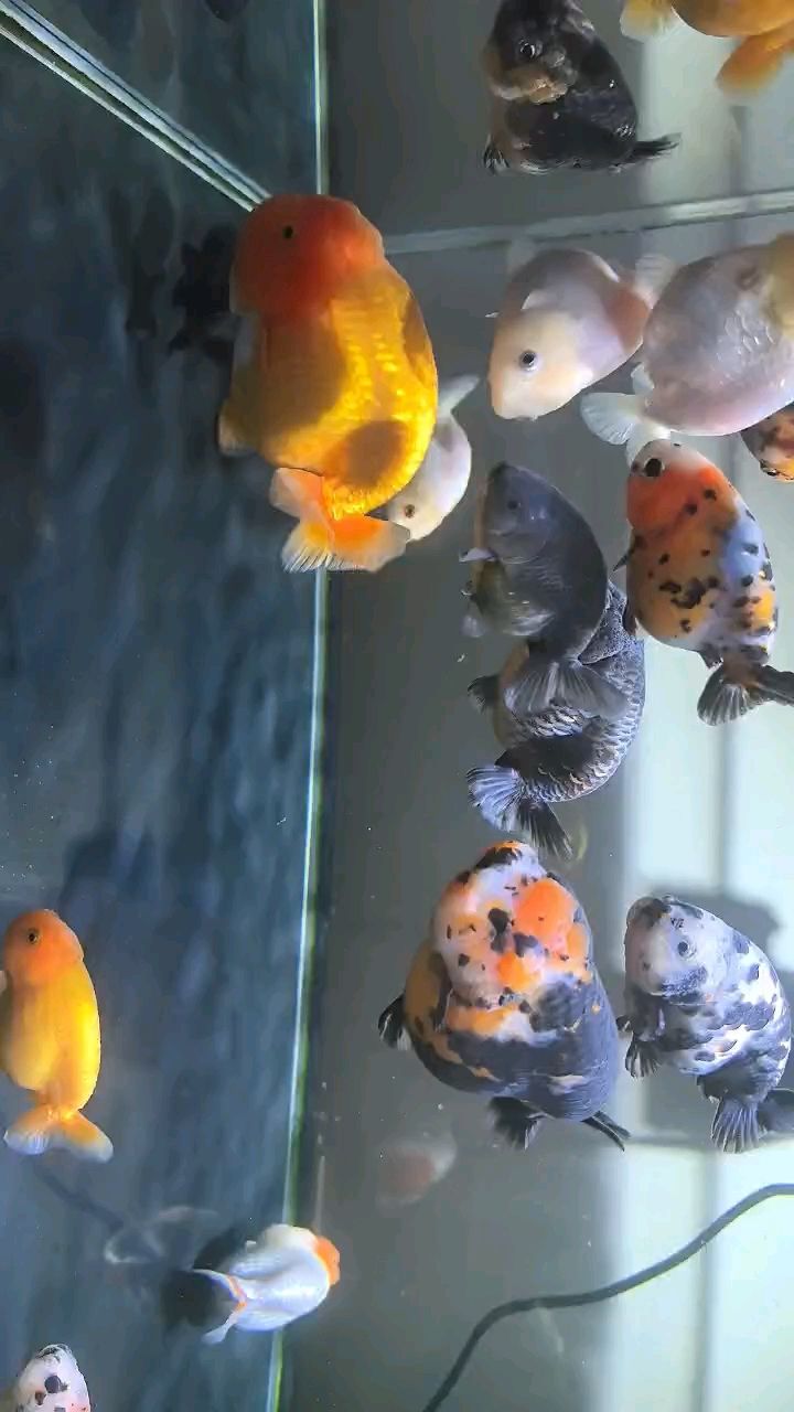 來一發