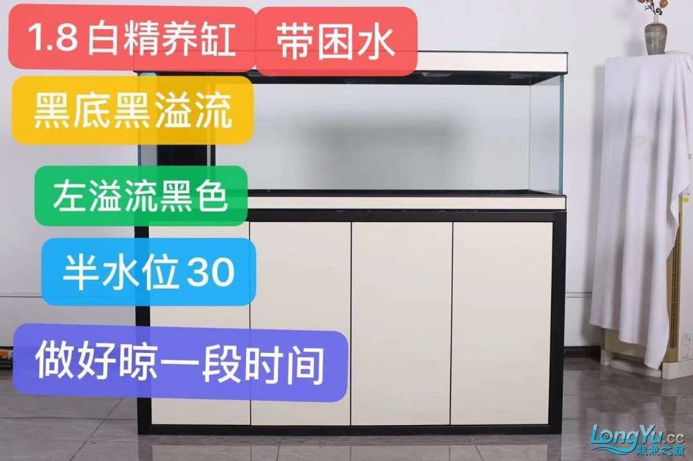 烏蘭察布水族館愛龍仕精養缸一個月使用體驗