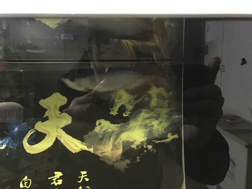有沙子的魚缸怎么清理（魚缸的沙子怎么洗干凈）