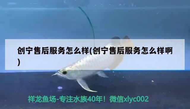 創寧售后服務怎么樣(創寧售后服務怎么樣啊)