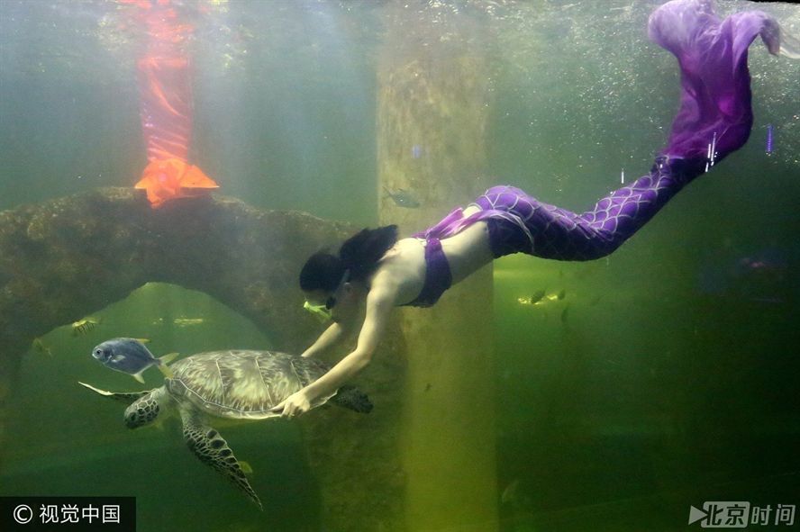水族館的工作崗位（水族館工作崗位包括了從基礎維護到高級研究的各種角色）