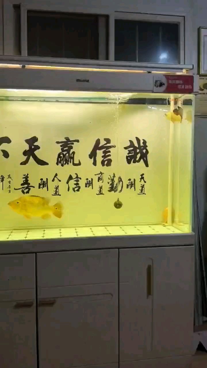 買(mǎi)了個(gè)小弟弟