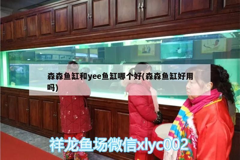 森森魚缸和yee魚缸哪個好(森森魚缸好用嗎)
