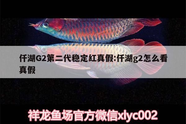 仟湖G2第二代穩定紅真假:仟湖g2怎么看真假