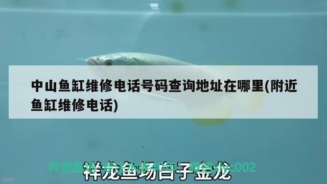 中山魚缸維修電話號(hào)碼查詢地址在哪里(附近魚缸維修電話)