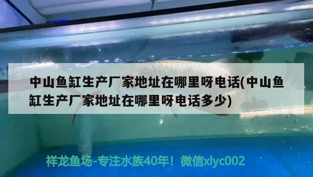 中山魚缸生產廠家地址在哪里呀電話(中山魚缸生產廠家地址在哪里呀電話多少)