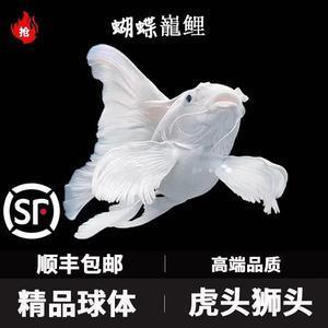 祥龍魚場還有哪些龍魚食料？，祥龍魚場專用飼料喂養指南