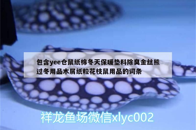 祥龍魚場還有哪些龍魚食料？，祥龍魚場專用飼料喂養指南