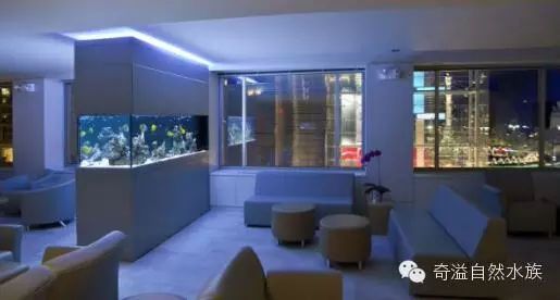 詳細(xì)閱讀:赤血紅龍魚生長(zhǎng)過(guò)程視頻(赤血紅龍魚生長(zhǎng)過(guò)程視頻播放) 赤血紅龍魚生長(zhǎng)過(guò)程視頻(赤血紅龍魚生長(zhǎng)過(guò)程視頻播放)