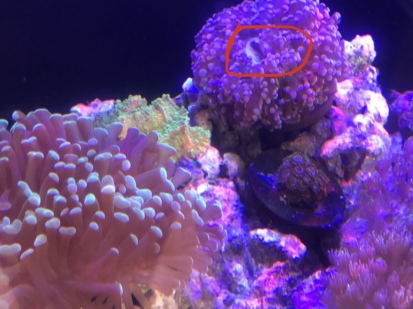 魚缸過濾器選購指南:自制魚缸過濾器魚缸上置過濾器對于養魚愛好者的必備知識 欽州水族批發市場在哪里啊電話地址(欽州水產批發市場在哪) 貝因美 欽州水族批發市場在哪里啊電話地址(欽州水產批發市場在哪) 欽州水族批發市場在哪里啊電話地址(欽州水產批發市場在哪) 貝因美