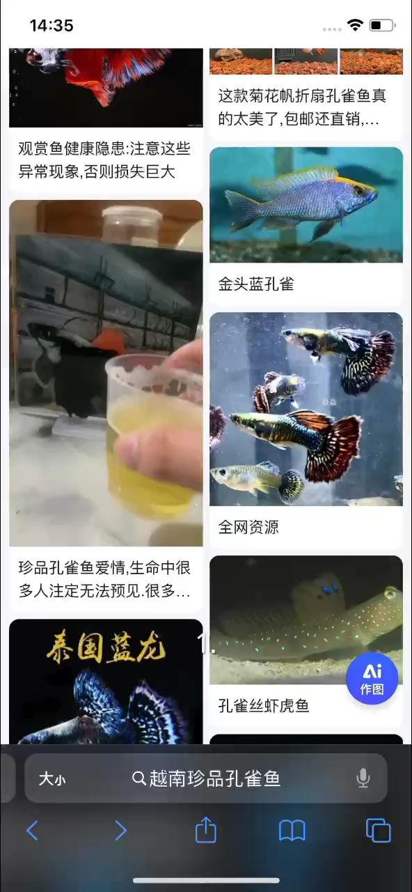 1.震驚！全網都在找的珍品孔雀魚，終于被我挖到了！獨特紋理、夢幻色彩，養它讓你成為水族圈頂流！ 2.百度都在找的珍品孔雀魚現身！珍稀品種，自帶絕美花色，養魚小白也能輕松上手，爆改你的水族箱！ 3.家人們誰懂??！百度都在搜的珍品孔雀魚，我這兒有！純種血統，花色獨一無二，養它讓你家秒變海底宮殿！#孔雀魚