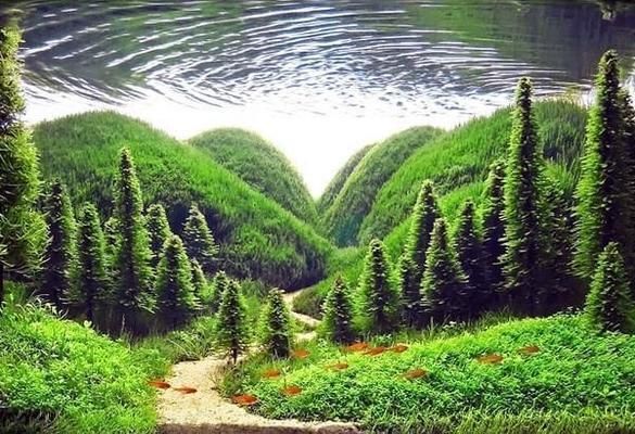 水族館店鋪裝修效果圖（水族館裝修效果圖）