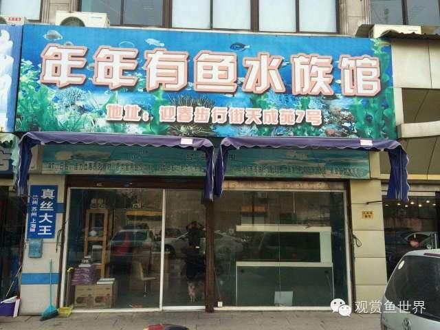 想開個水族館賺錢嗎現在怎么樣（開設水族館市場競爭優勢分析水族館市場競爭優勢分析） 想開個水族館賺錢嗎現在怎么樣（開設水族館市場競爭優勢分析水族館市場競爭優勢分析） 水族館百科（水族館加盟） 第4張