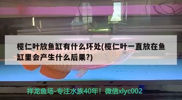 三紋虎魚缸過濾器品牌對比，三紋虎魚缸過濾器品牌及其特點魚缸過濾器品牌對比