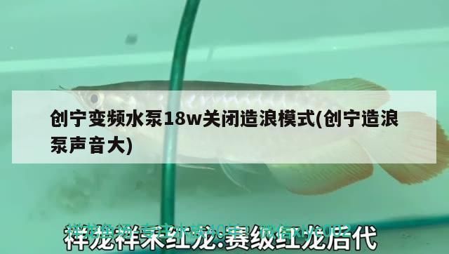 龍魚缸需要造浪泵嗎vs祥龍魚場：祥龍魚場的龍魚品種，如何選擇合適的造浪泵