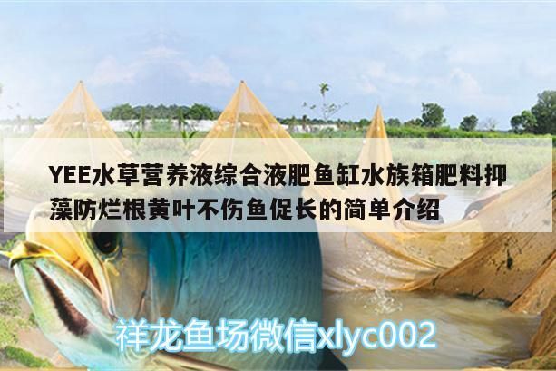 YEE水草營養液綜合液肥魚缸水族箱肥料抑藻防爛根黃葉不傷魚促長的簡單介紹