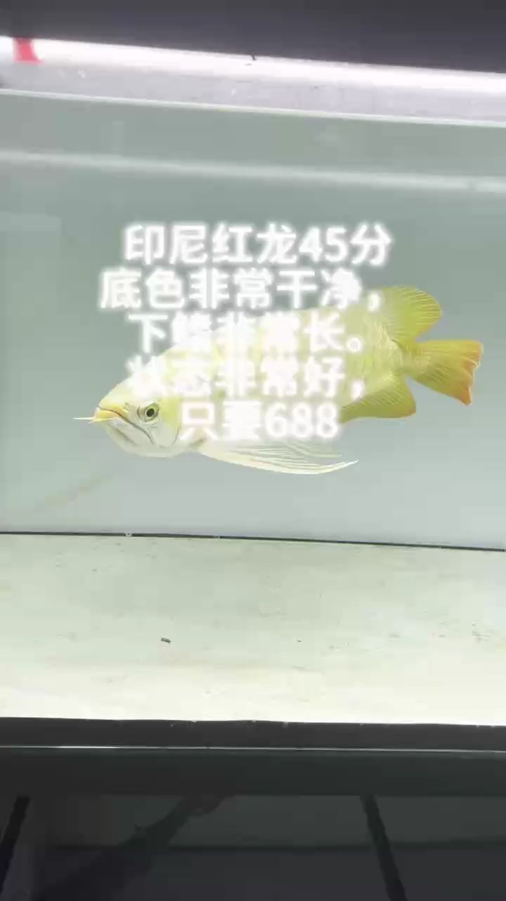 因鋪貨太多，房租水電，成本消耗，虧損嚴重