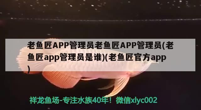 老魚匠APP管理員老魚匠APP管理員(老魚匠app管理員是誰)(老魚匠官方app)