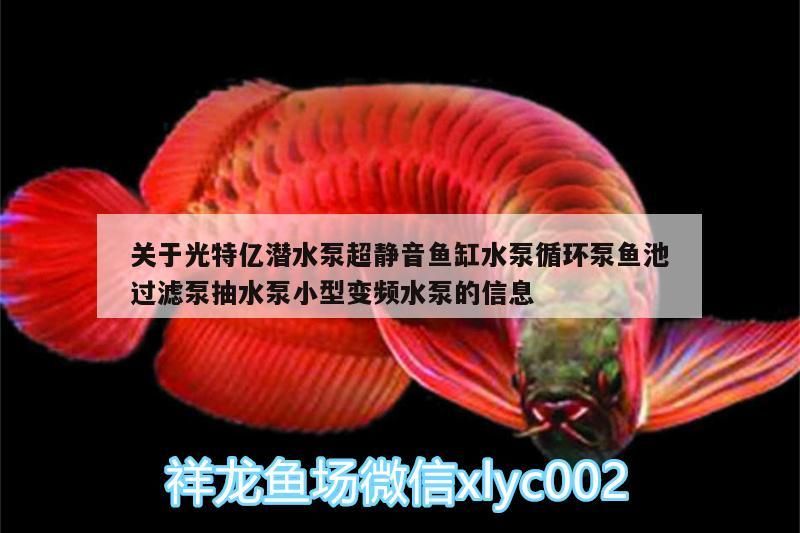 關于光特億潛水泵超靜音魚缸水泵循環泵魚池過濾泵抽水泵小型變頻水泵的信息