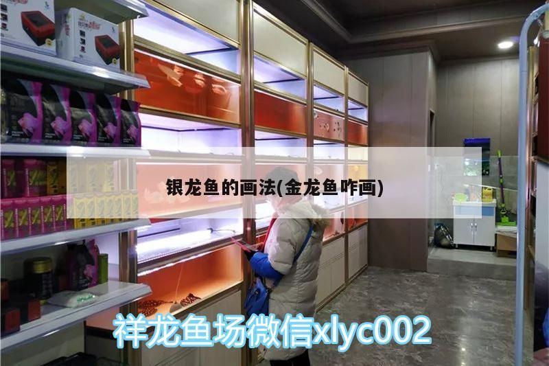 銀龍魚的畫法(金龍魚咋畫)
