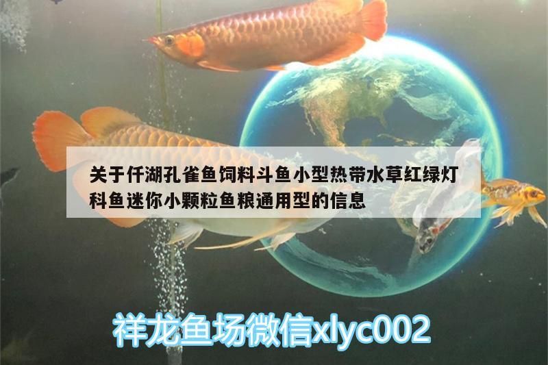 關于仟湖孔雀魚飼料斗魚小型熱帶水草紅綠燈科魚迷你小顆粒魚糧通用型的信息