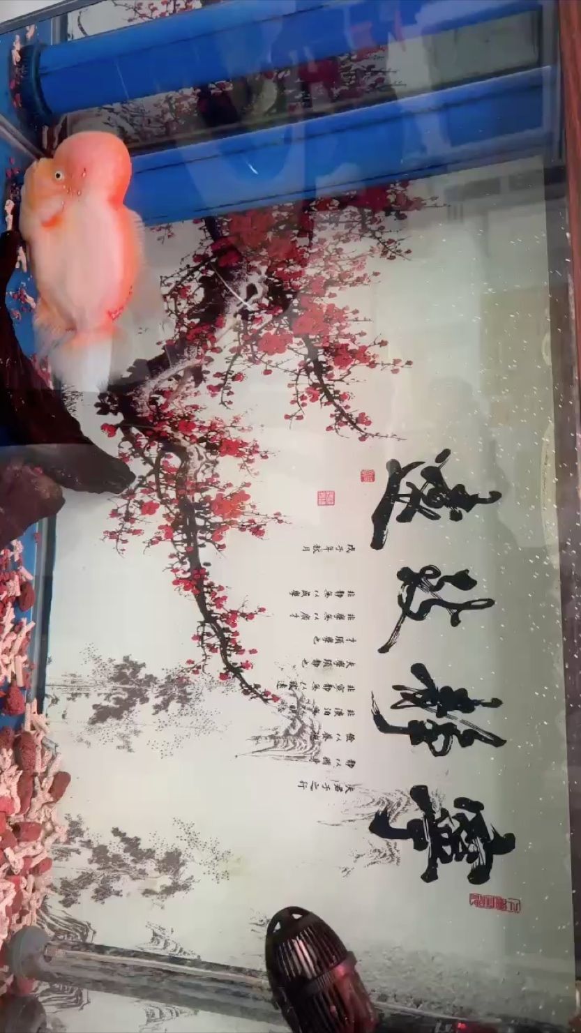 希望越來越美～雪山羅漢