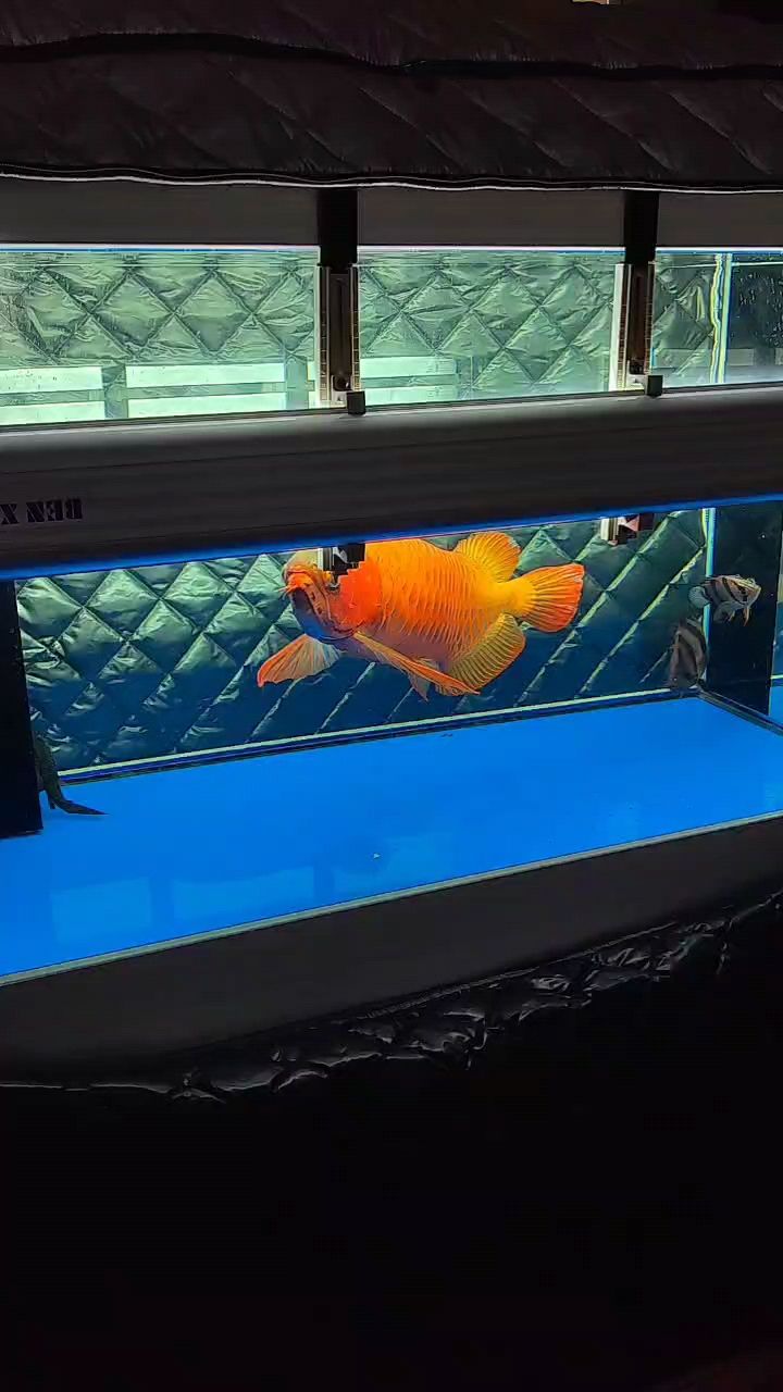 時光你慢點走，一晃龍都六歲啦。