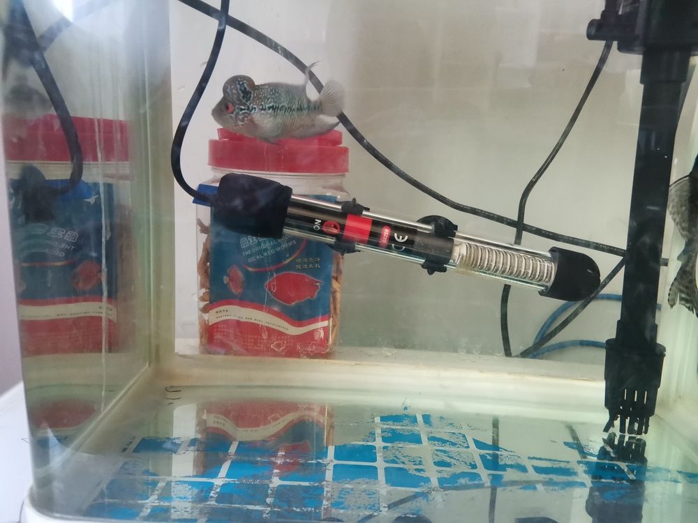 打火機的長度