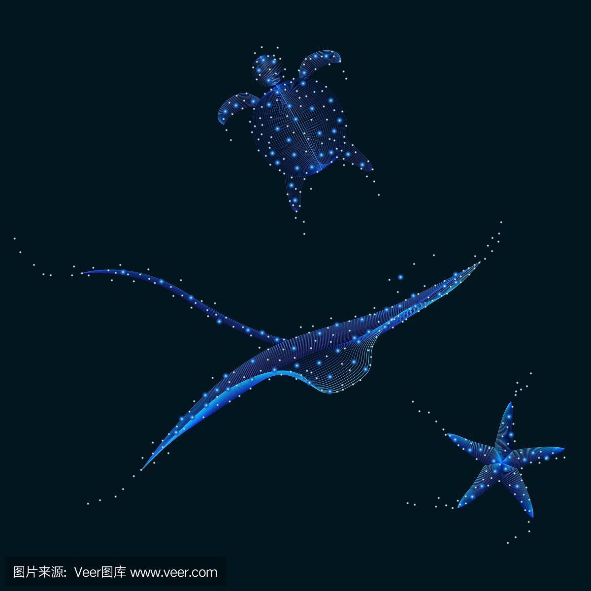 魟魚怎么呼吸空氣里的氣泡：魟魚的呼吸方式