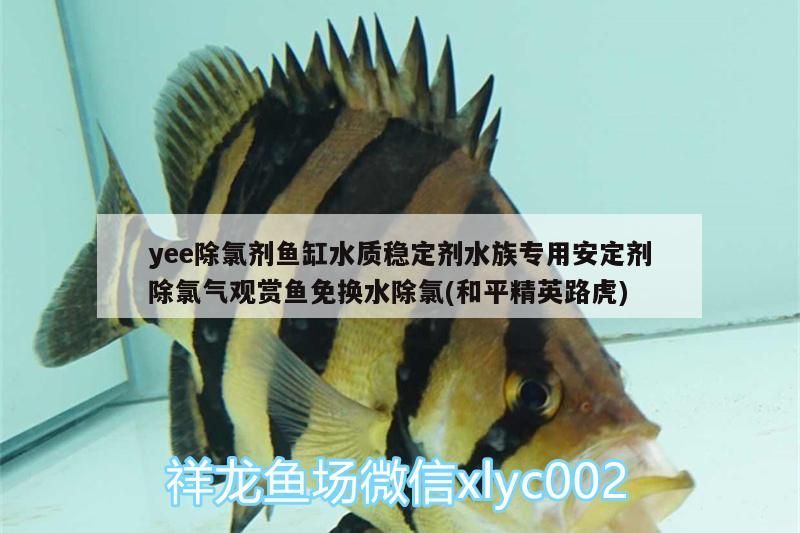 yee除氯劑魚缸水質穩定劑水族專用安定劑除氯氣觀賞魚免換水除氯(和平精英路虎)