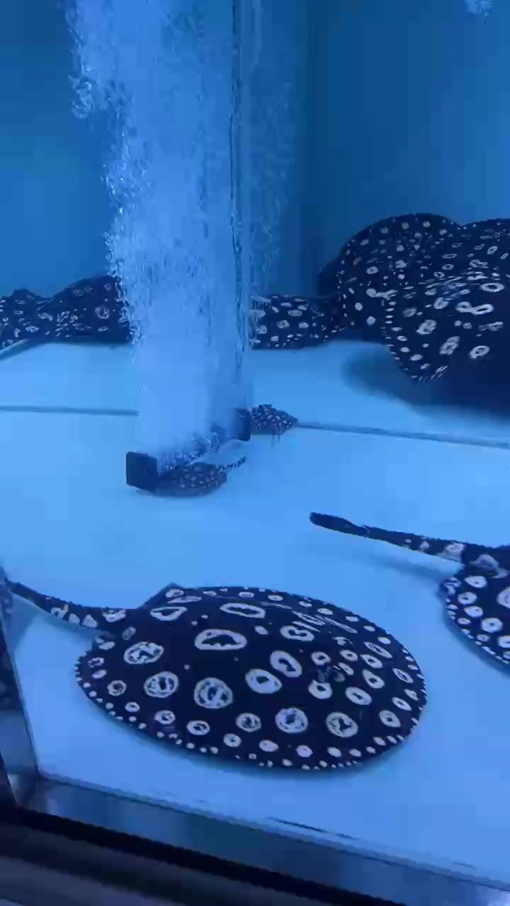 加油