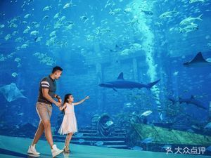 亞特蘭蒂斯水族館游記：三亞亞特蘭蒂斯水族館是一處集海洋生物展示與一體的旅游景點