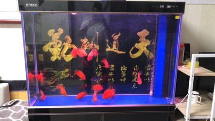 grech是什么牌子的魚缸：grech是什么牌子的魚缸？