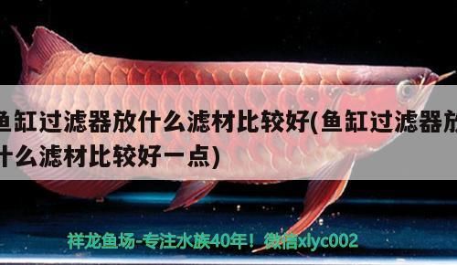 魚缸過濾器放什么濾材比較好(魚缸過濾器放什么濾材比較好一點)