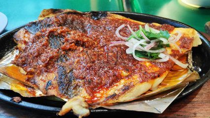 魟魚盤子被咬爛是什么魚咬的：\"魟魚盤子被咬爛是什么魚咬的