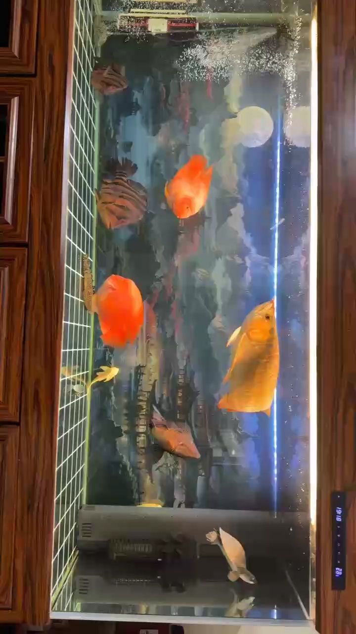 近況