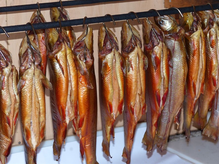 魚缸放進(jìn)新魚老魚為啥都死了（新買的錦鯉千萬別直接入缸）
