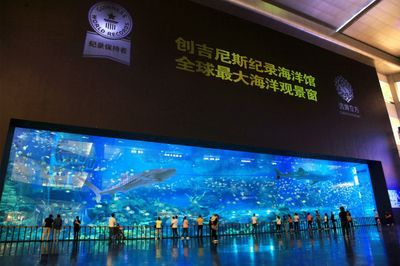 水族館什么意思（水族館不僅是欣賞美麗水生生物的好地方，也是一個重要的教育項目）
