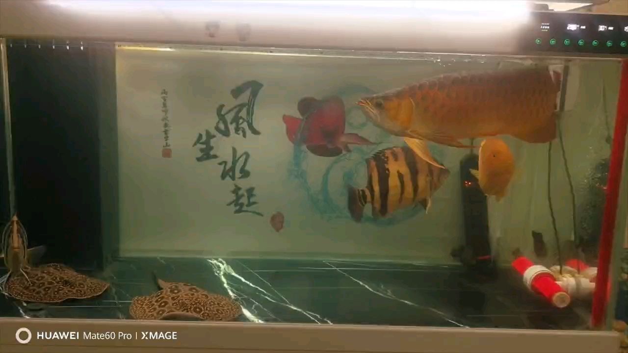 一年零10個月，記錄一下。