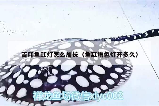 吉印魚缸燈怎么加長（魚缸增色燈開多久） 吉印魚缸燈怎么加長（魚缸增色燈開多久） 吉印水族