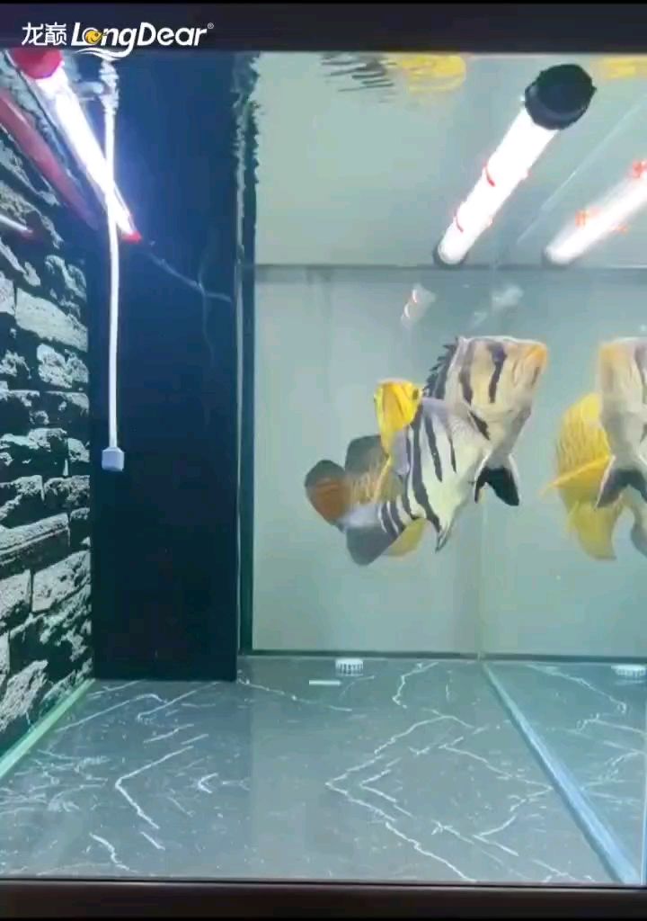 轉發724