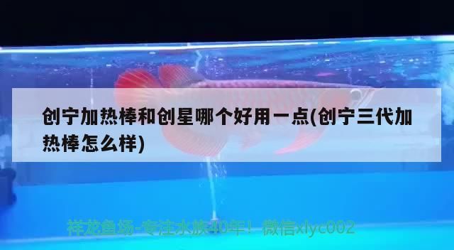 龍魚干蝦有營養嗎 創寧加熱棒和創星哪個好用一點(創寧三代加熱棒怎么樣) 創寧水族 創寧加熱棒和創星哪個好用一點(創寧三代加熱棒怎么樣) 創寧加熱棒和創星哪個好用一點(創寧三代加熱棒怎么樣) 創寧水族