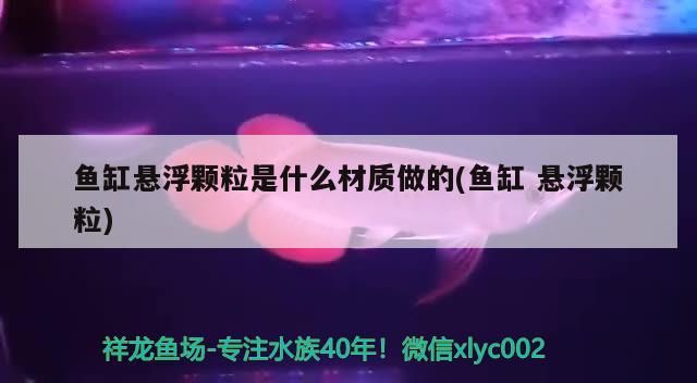 魚缸懸浮顆粒是什么材質做的(魚缸懸浮顆粒)
