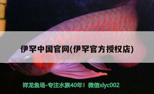 伊罕中國官網(伊罕官方授權店)