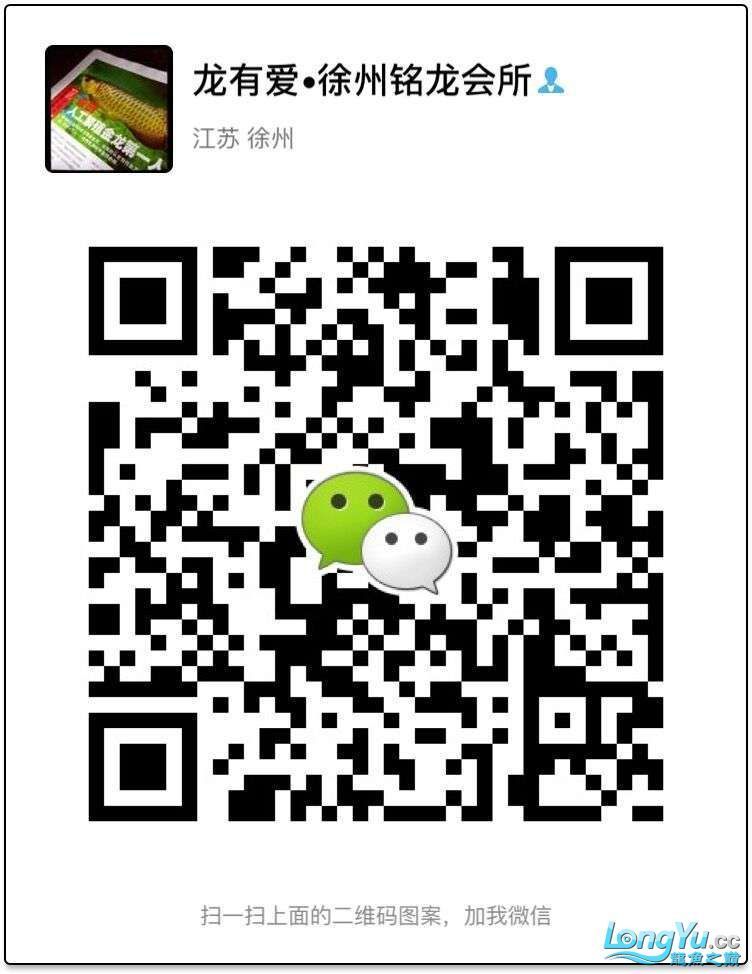 徐州代理0805李亞四過背金龍細框超藍底內附