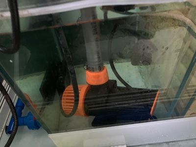 一方水族器材怎么樣好用嗎：一方水族器材在公司管理、企業文化、技術研發和市場認可度等表現 一方水族器材怎么樣好用嗎：一方水族器材在公司管理、企業文化、技術研發和市場認可度等表現 一方水族 第2張